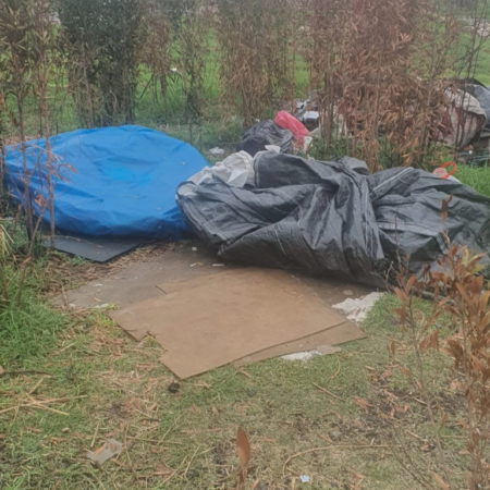 freedomfront_plus_(VF Plus dwing Ekurhuleni-metro tot optrede teen onwettige plakkers)