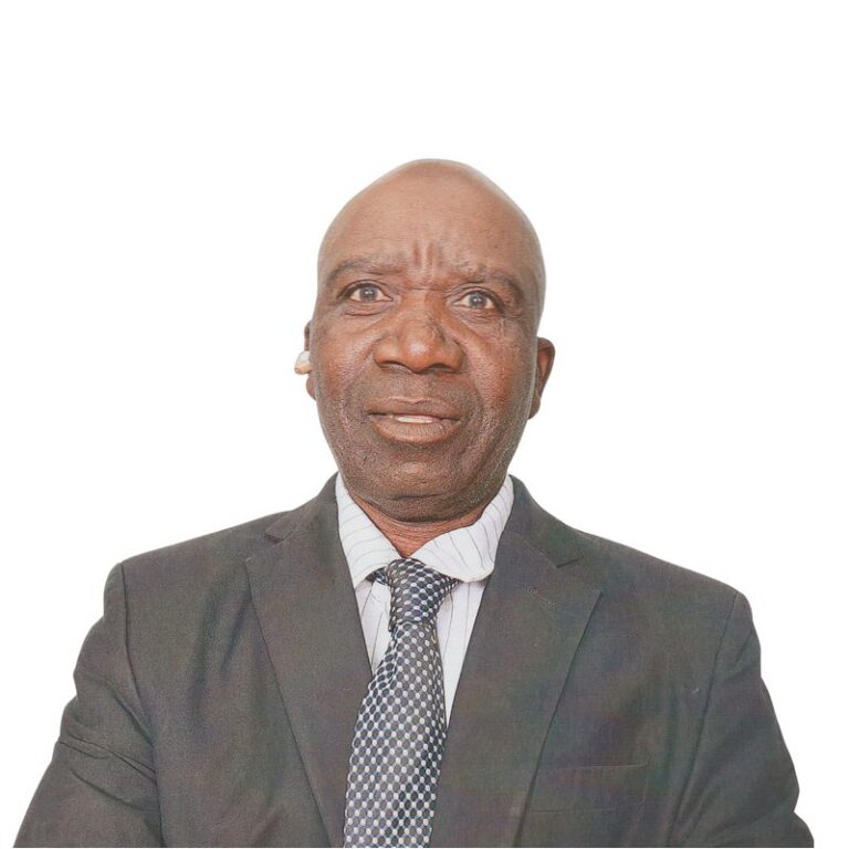 Johannes Sithole, VF Plus candidate