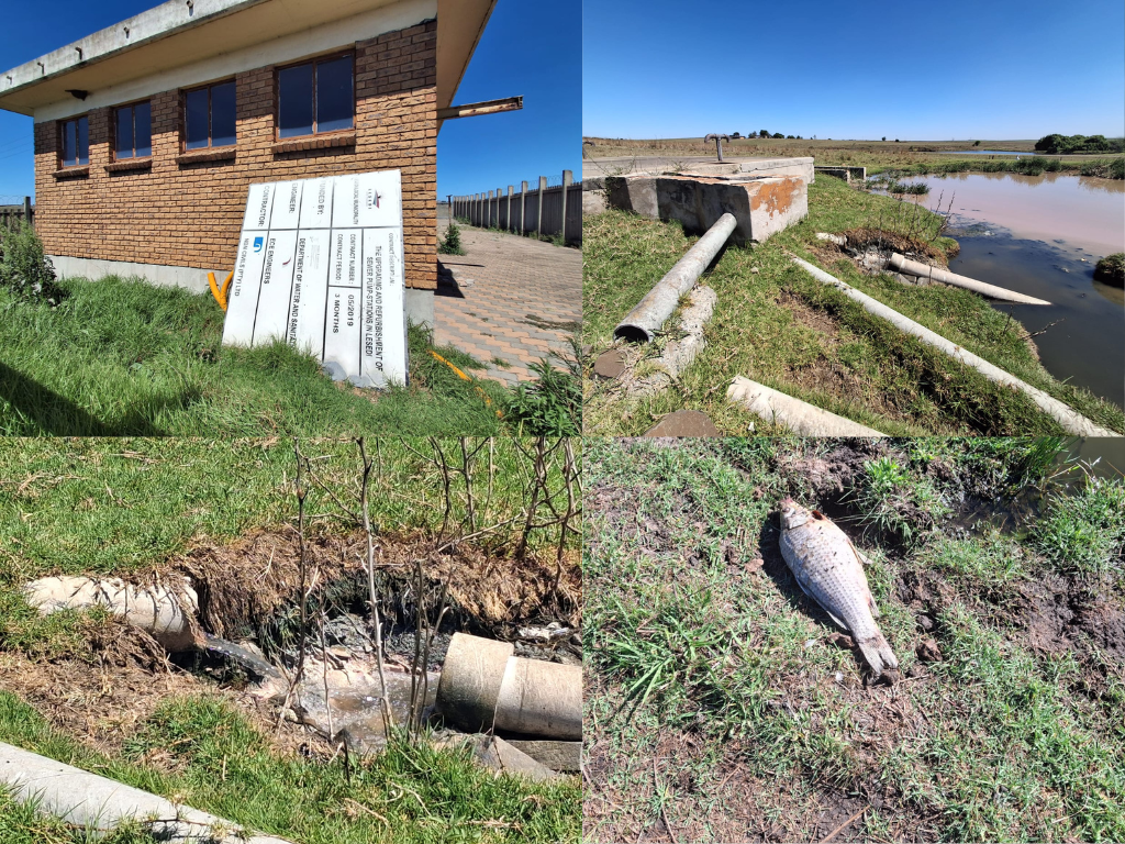 freedomfront_plus_(Stukkende watersuiweringsaanleg in Devon lei tot visvrektes en siek vee) freedomfront_plus_(Stukkende watersuiweringsaanleg in Devon lei tot visvrektes en siek vee)
