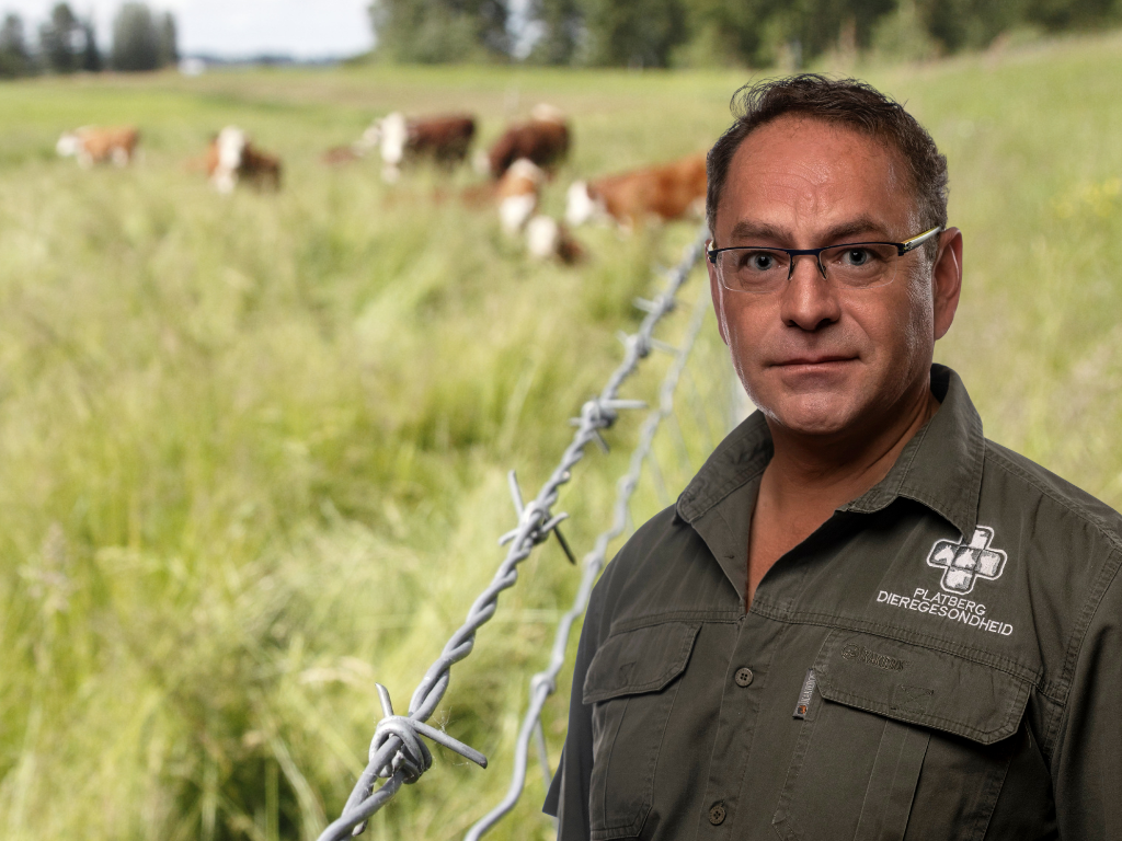 freedomfront_plus_(VF Plus eis optrede teen stygende veediefstal in Vrystaat – nie net nog waarskuwings) (1) freedomfront_plus_(VF Plus eis optrede teen stygende veediefstal in Vrystaat – nie net nog waarskuwings) (1)
