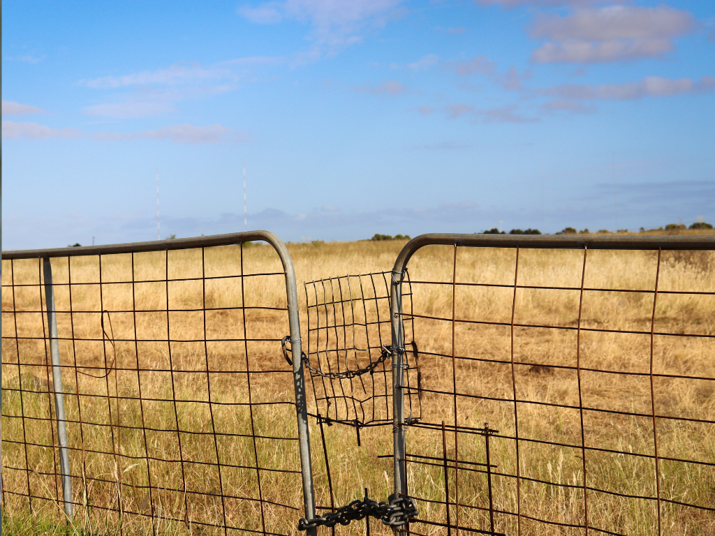 freedomfront_plus_(VF Plus vra verhoogde waaksaamheid ná aanval op plaas in Georges Valley)